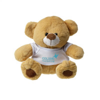 bruin